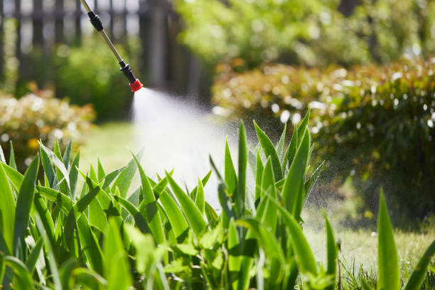 24/7 Emergency Wasp Removal experts in Bandon, OR