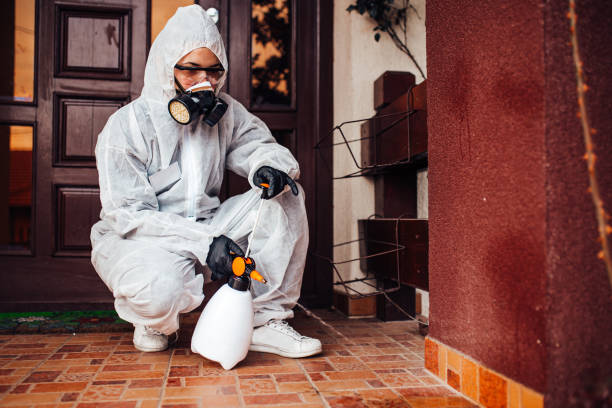 Reliable Wasp Removal contractor in Bandon, OR by Show Me Pest Control